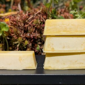 Lot de 10 savonnettes de 25g